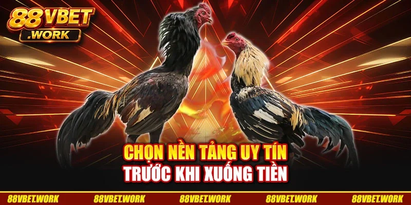 Chọn nền tảng uy tín trước khi xuống tiền