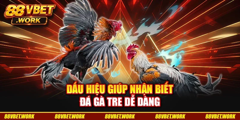 Dấu hiệu giúp nhận biết đá gà tre dễ dàng